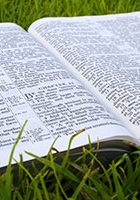 bibleingrassbox